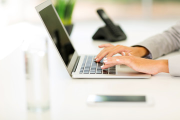 Wall Mural - female hands working on laptop