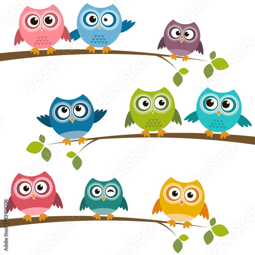 Obraz w ramie Set of colorful cartoon owls on branches