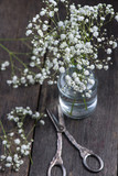 Fototapeta  - fresh wild meadow white flowers in mason jar
