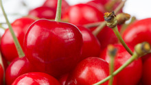 Red Cherries Close-Up