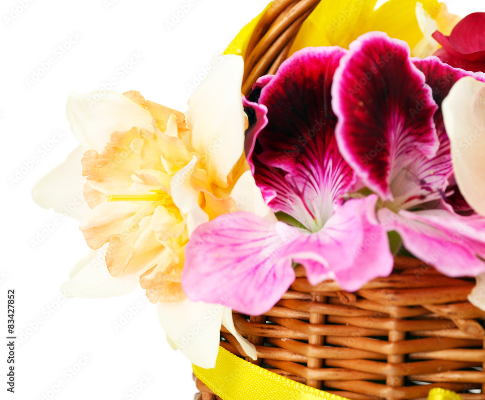 Beautiful flowers in basket isolated on white