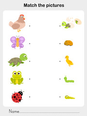 Wall Mural - Match animal - Worksheet for education
