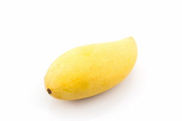 Wall Mural - Yellow fresh mango on white background.