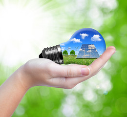 Wall Mural - hand holding eco light bulb on green background
