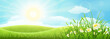 Summer meadow landscape with green grass, flowers, hills and sun