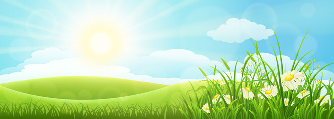 Wall Mural - Summer meadow landscape with green grass, flowers, hills and sun