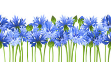 Horizontal Seamless Background With Blue Cornflowers. Vector.