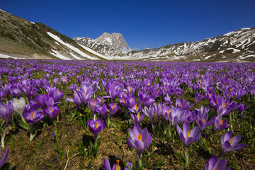 Wall Mural - Vetta del Gran Sasso d'Italia in Abruzzo