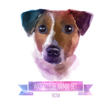 Vector Set Of Watercolor Illustrations. Cute Jack Russell