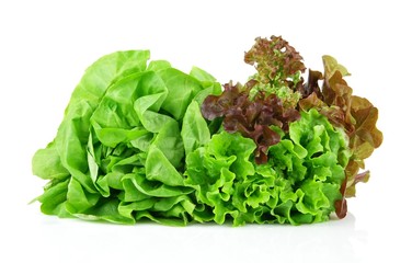 Many varieties of lettuce on white