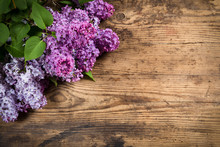 Lilac On Brown Wood Texture