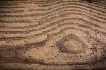 Brown wood texture. Abstract background