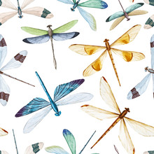Watercolor Dragonflies Pattern