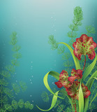 Underwater background with sea plants.