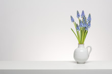 Bouquet Of Grape Hyacinths In A White Vase On A White Shelf At A White Background