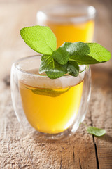 Poster - herbal sage tea with green leaf in glass cup