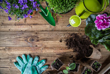 Outdoor Gardening Tools And Herbs