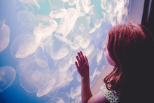 Girl (6-7) Watching Jellyfish In Aquarium