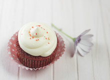 Red Velvet Cupcake With Whipped Cream And Flower