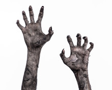 Black Hand Of Death, Walking Dead, Zombie Theme,  Zombie Hands