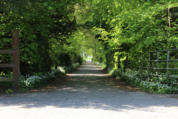  Camino de Santiago, Way of St. James, Road to Santiago