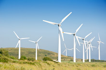 Green Meadow With Wind Turbines Generating Electricity