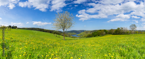 Fotografia  Frühling in der Eifel Panorama