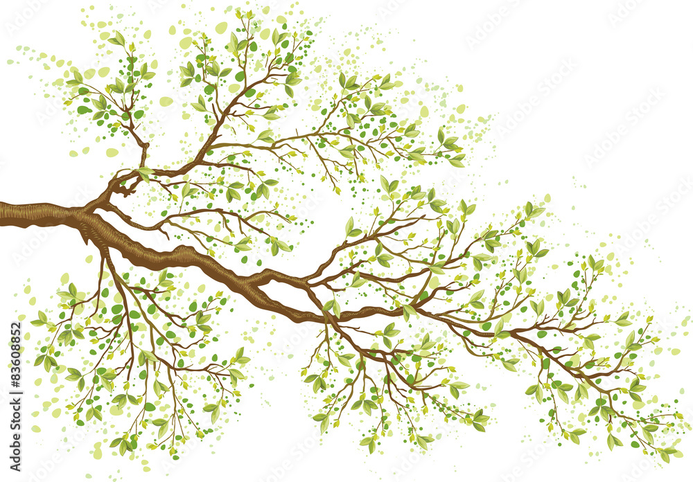 Tree branch with green leaves - obrazy, fototapety, plakaty 