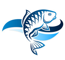 Fish vector