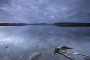 Wall Mural - Calm lake at twilight, wood in the foreground, dalarna, sweden