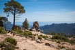 Naturlandschaften auf Korsika