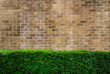 vintage style decorative brown brick wall with plant