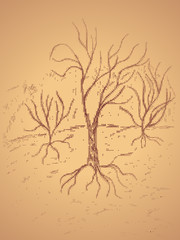 Canvas Print - Dead Tree Sketch