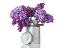 Lilac Flowers In Old Milk Churn