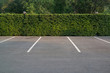 Empty parking lot with foliage wall in the background