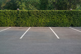 Empty parking lot with foliage wall in the background
