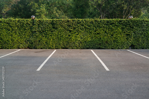 Empty parking lot with foliage wall in the background Fototapeta