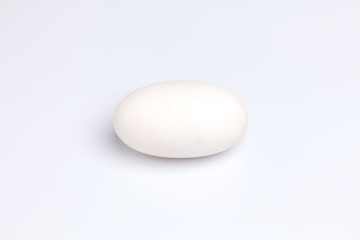 crocodile alligator egg one white background