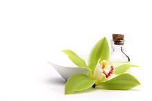 Spa Concept. Green Orchid And Spa Oil, Isolated On White. 
