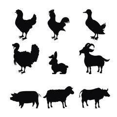 Poster - Farm animal design.