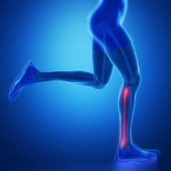 FIBULA - running man leg scan in blue