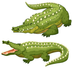 Poster - Crocodile