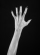 © Parad St - white hands of death with black nails, white death, white skin