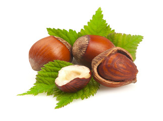 Poster - Hazelnuts with leaves