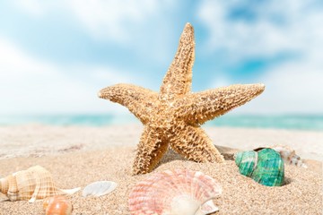 Canvas Print - Travel, caribbean, beach.