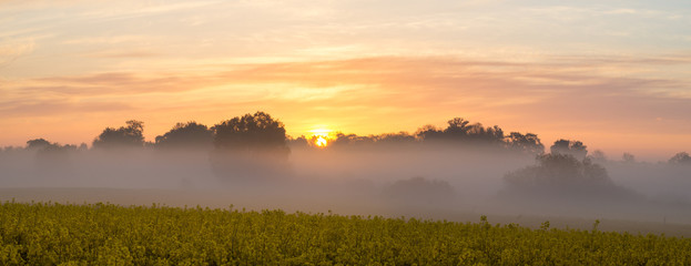 Wall Mural - beautiful, misty sunrise on a field near the village