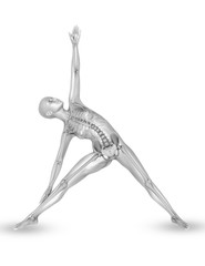 Canvas Print - 3D female medical figure with skeleton in yoga pose