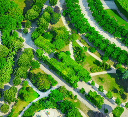 Wall Mural - view of the garden