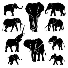 Elephant Silhouette Pack