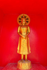 Wall Mural - the standing gold buddha statue  with the red background